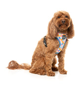 Fresh Zest - Dog Harness