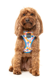 Fresh Zest - Dog Harness