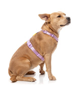 Sugar Rush H Harness - Sherbet Pop