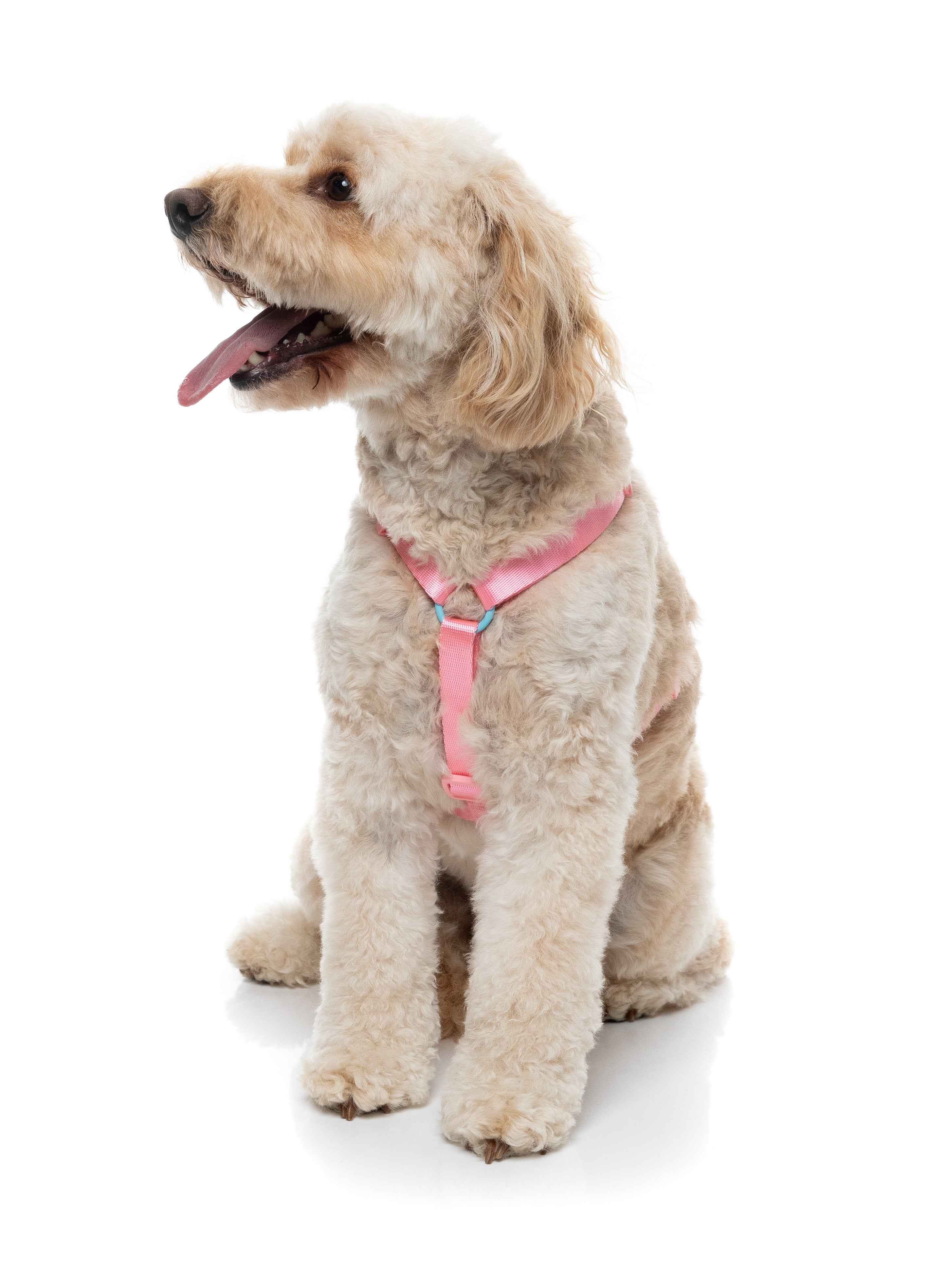 Sugar Rush H Harness - Bubblegum Bliss