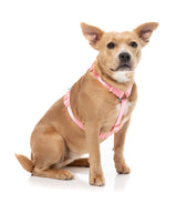 Sugar Rush H Harness - Bubblegum Bliss