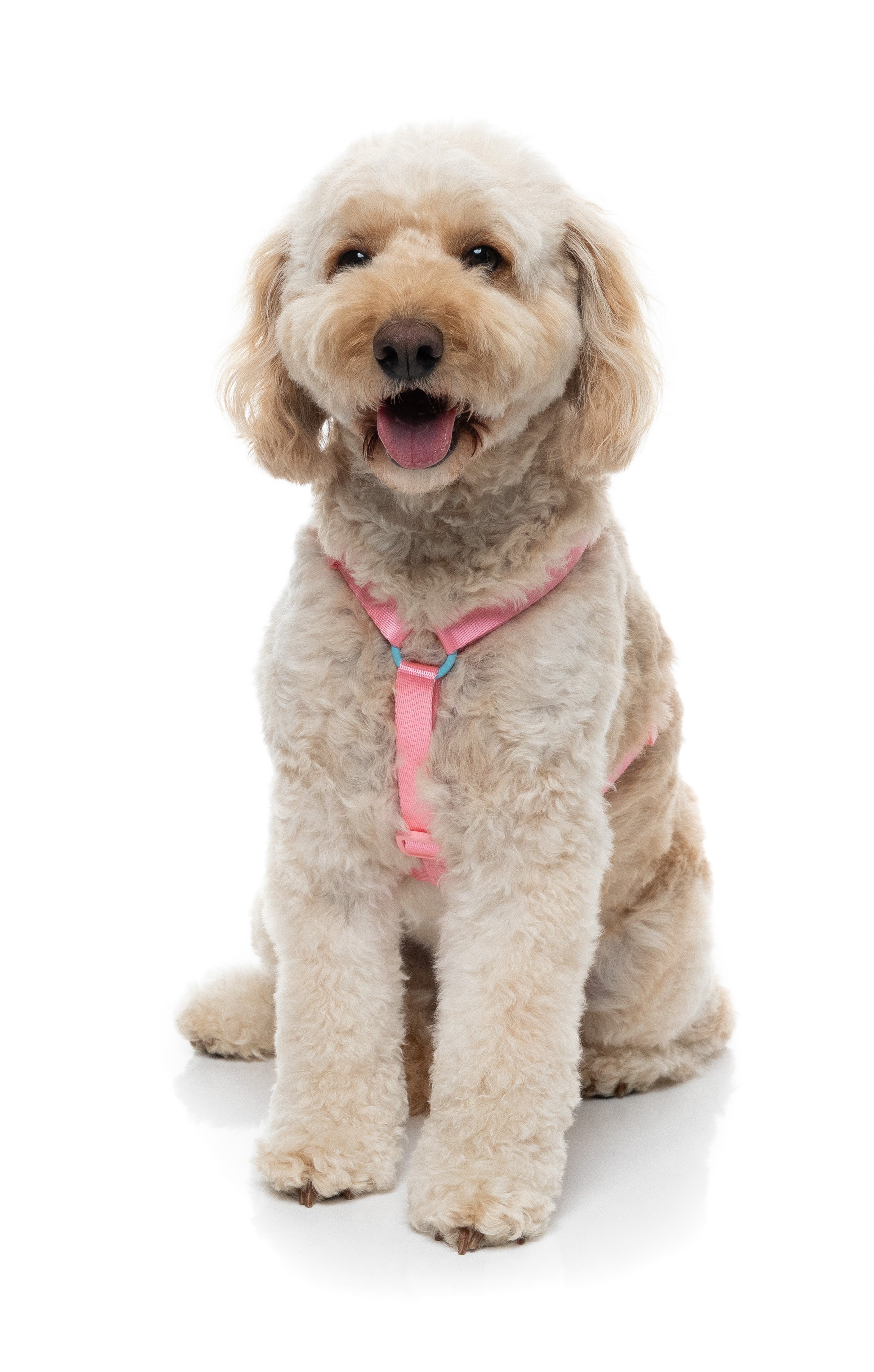 Sugar Rush H Harness - Bubblegum Bliss