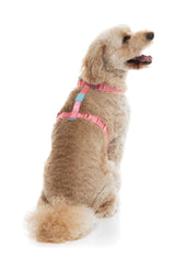Sugar Rush H Harness - Bubblegum Bliss