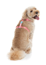 Sugar Rush H Harness - Bubblegum Bliss
