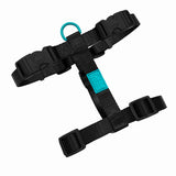 Sugar Rush H Harness - Electric Freeze
