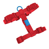 Sugar Rush H Harness - Cherry Charge