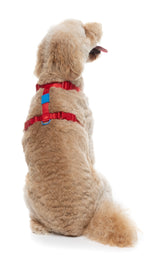 Sugar Rush H Harness - Cherry Charge
