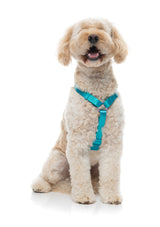 Sugar Rush H Harness - Sugar Cloud