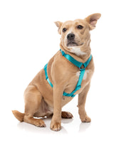Sugar Rush H Harness - Sugar Cloud