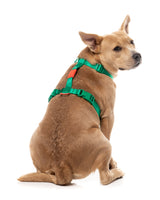 Sugar Rush H Harness - Sour Patch