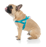 Sugar Rush Comfort Harness - Sugar Cloud