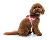 Sugar Rush Comfort Harness - Bubblegum Bliss