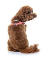 Sugar Rush Comfort Harness - Bubblegum Bliss