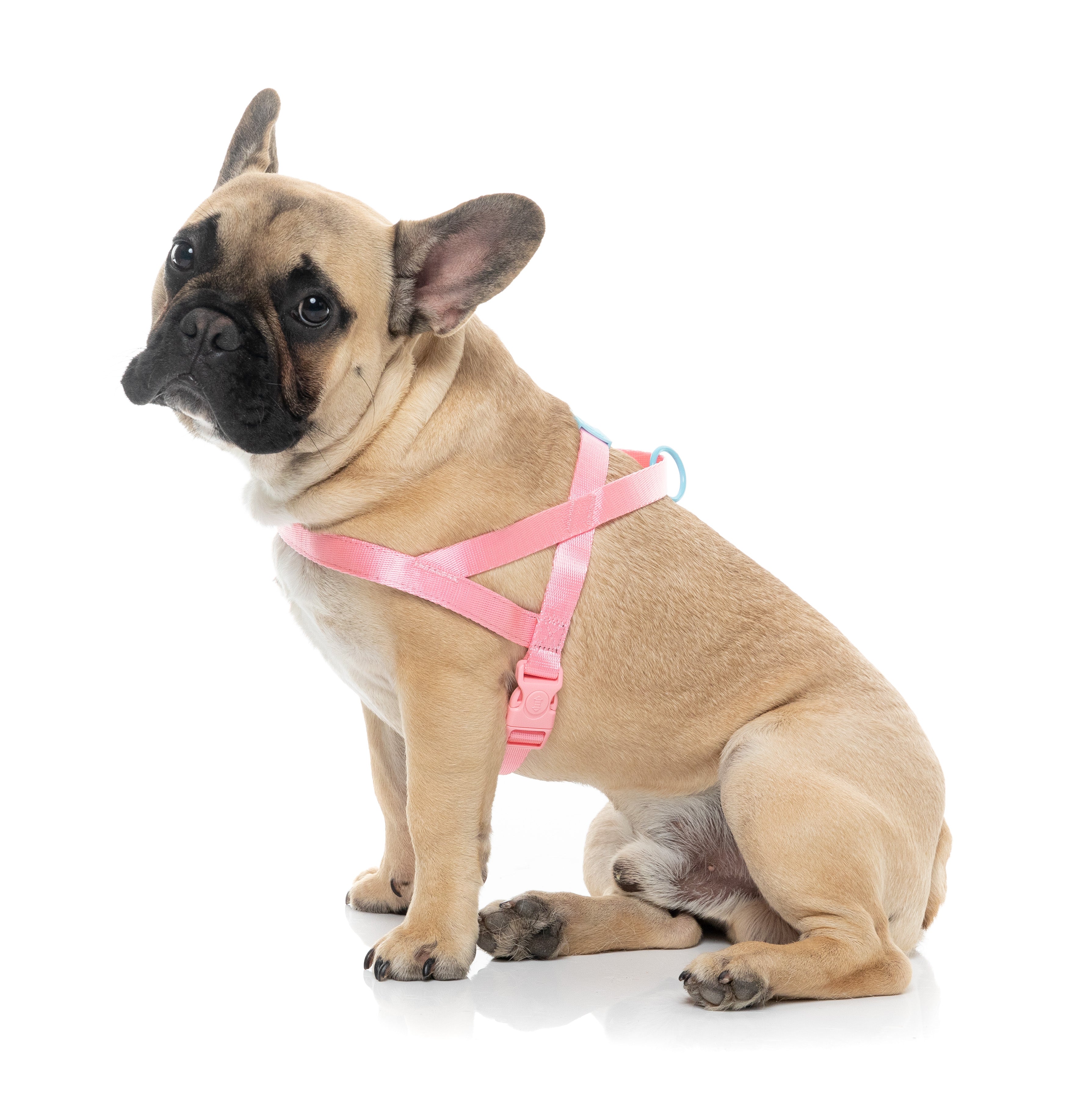 Sugar Rush Comfort Harness - Bubblegum Bliss