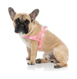 Sugar Rush Comfort Harness - Bubblegum Bliss