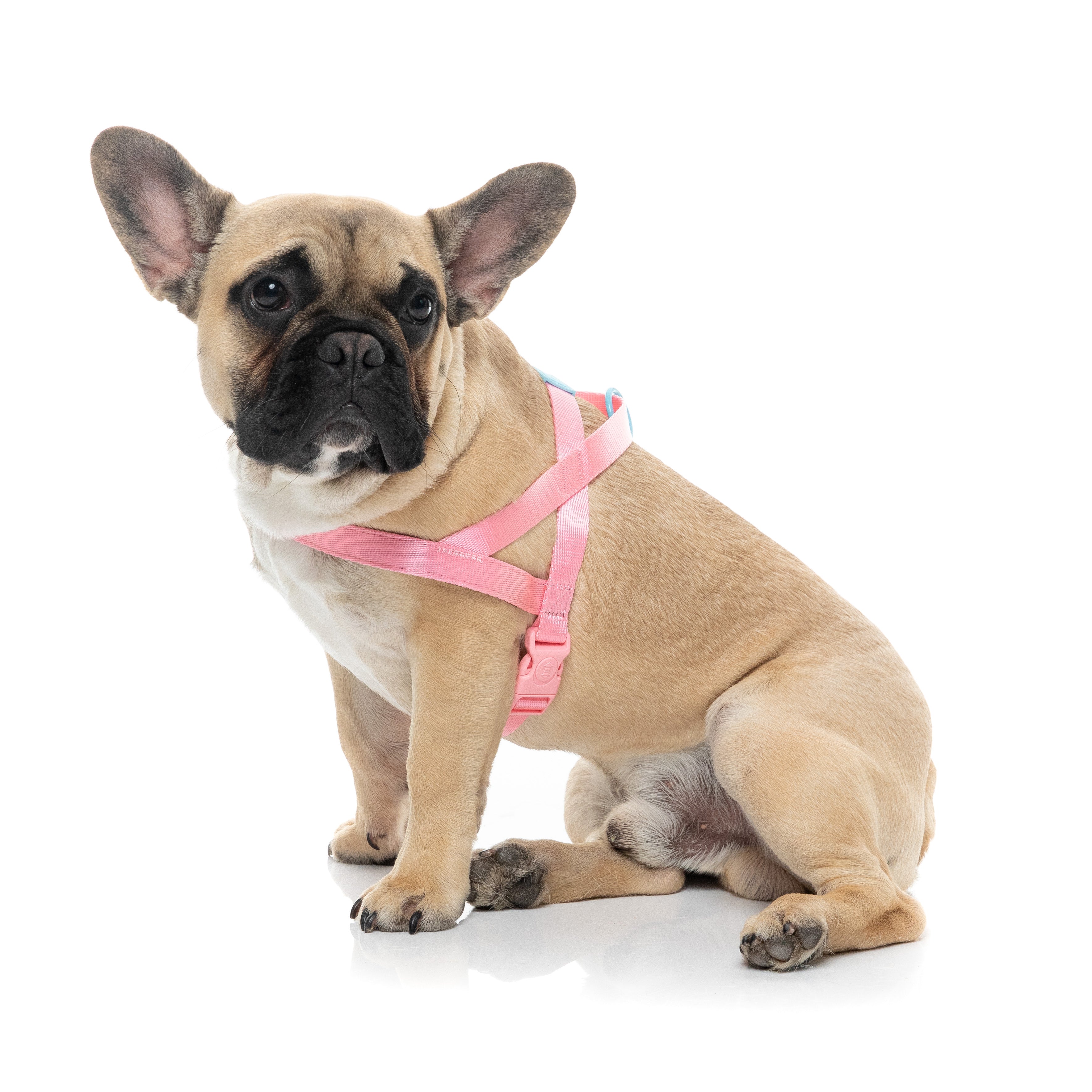 Sugar Rush Comfort Harness - Bubblegum Bliss