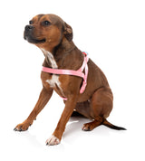 Sugar Rush Comfort Harness - Bubblegum Bliss