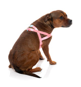 Sugar Rush Comfort Harness - Bubblegum Bliss