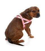 Sugar Rush Comfort Harness - Bubblegum Bliss