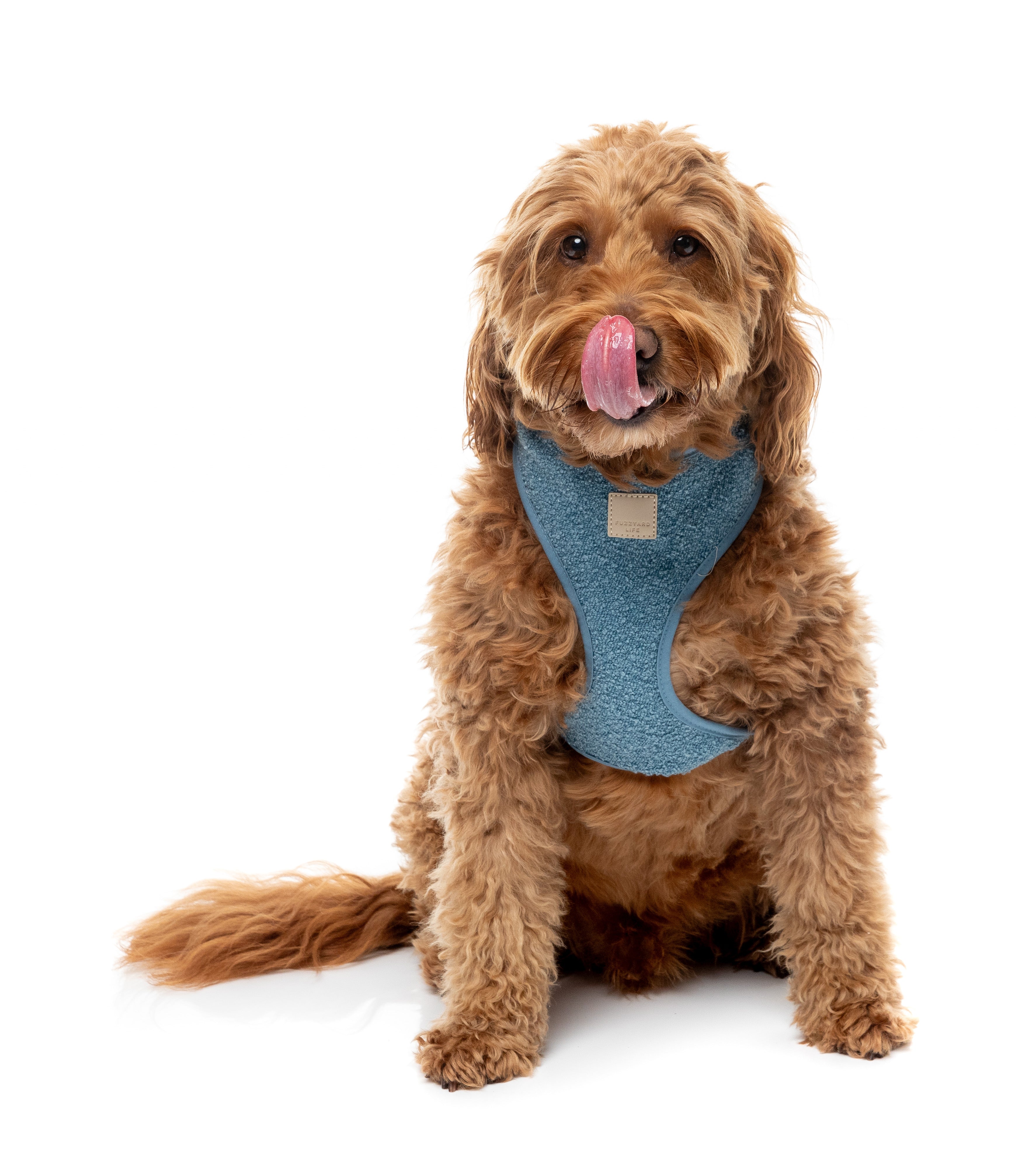 FuzzYard Life Bouclé Harness - French Blue