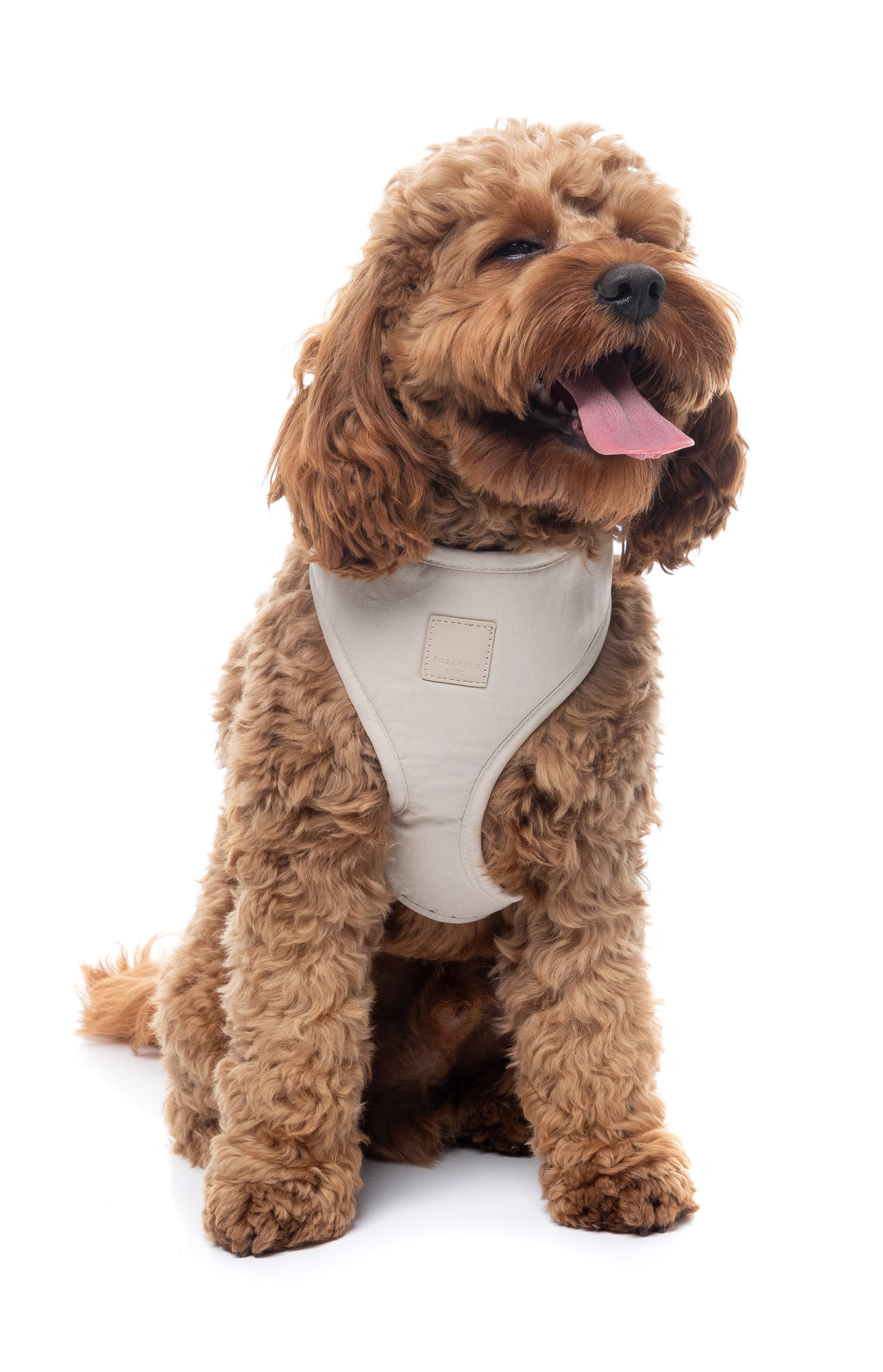 FuzzYard Life Harness - Sandstone