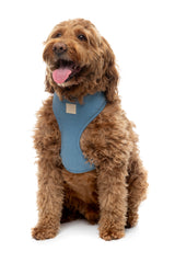 FuzzYard Life Harness - French Blue