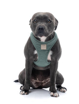 FuzzYard Life Step In Harness - Myrtle Green