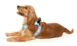 Mint Fizz - Dog Step In Harness
