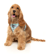 Mint Fizz - Dog Step In Harness