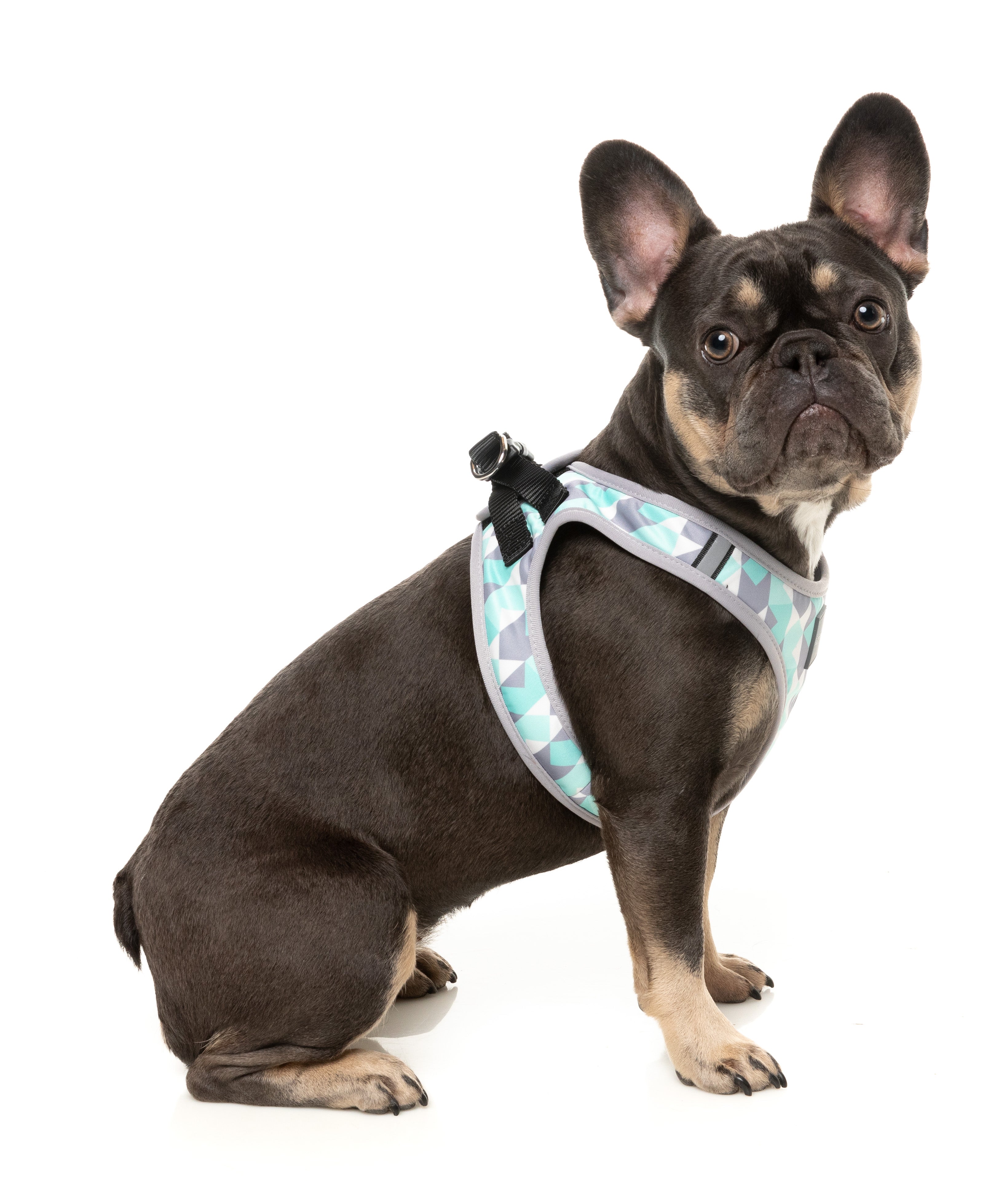 Mint Fizz - Dog Step In Harness