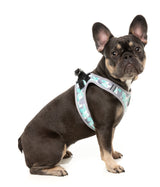 Mint Fizz - Dog Step In Harness