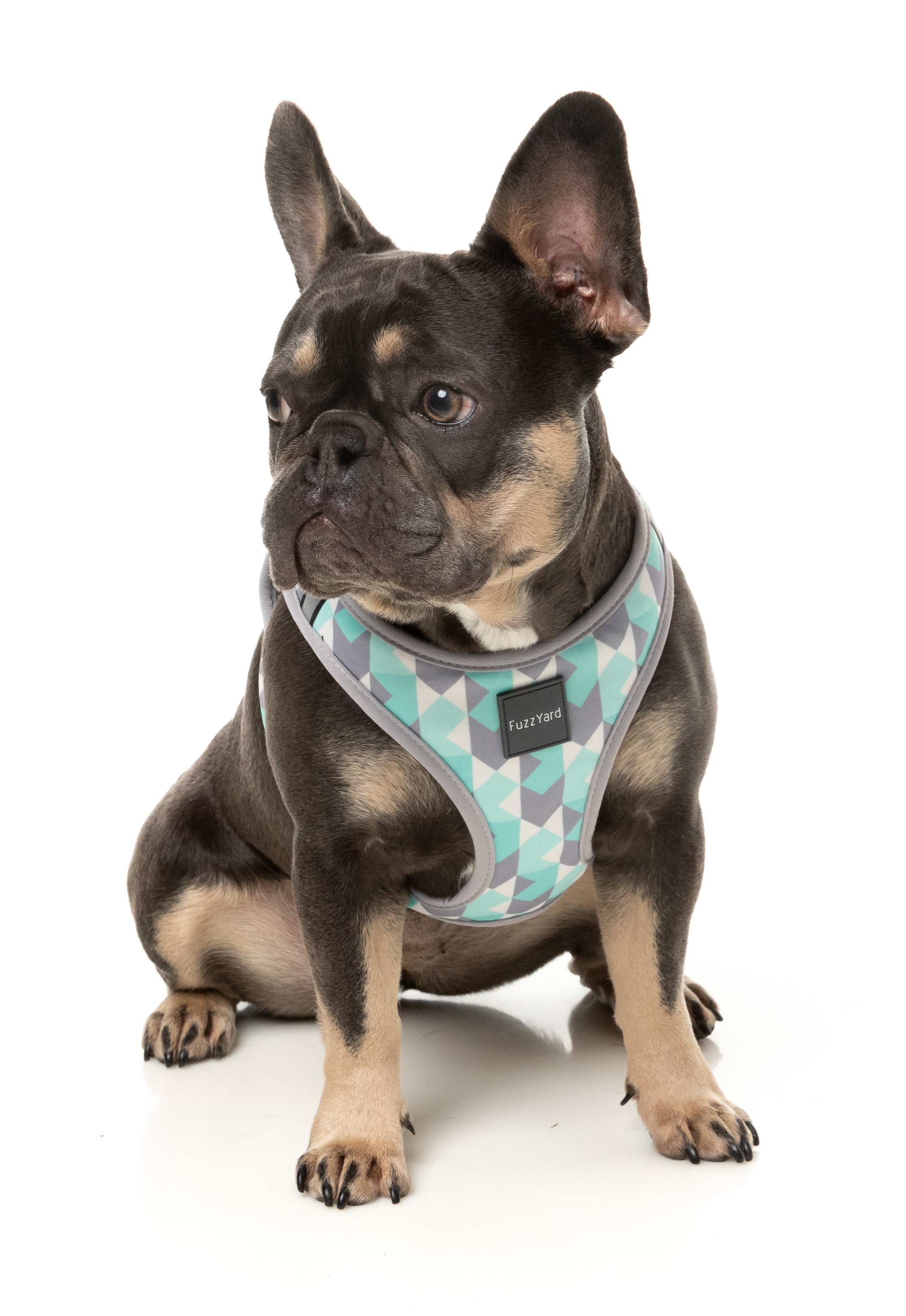 Mint Fizz - Dog Step In Harness