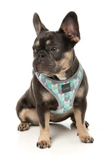 Mint Fizz - Dog Step In Harness