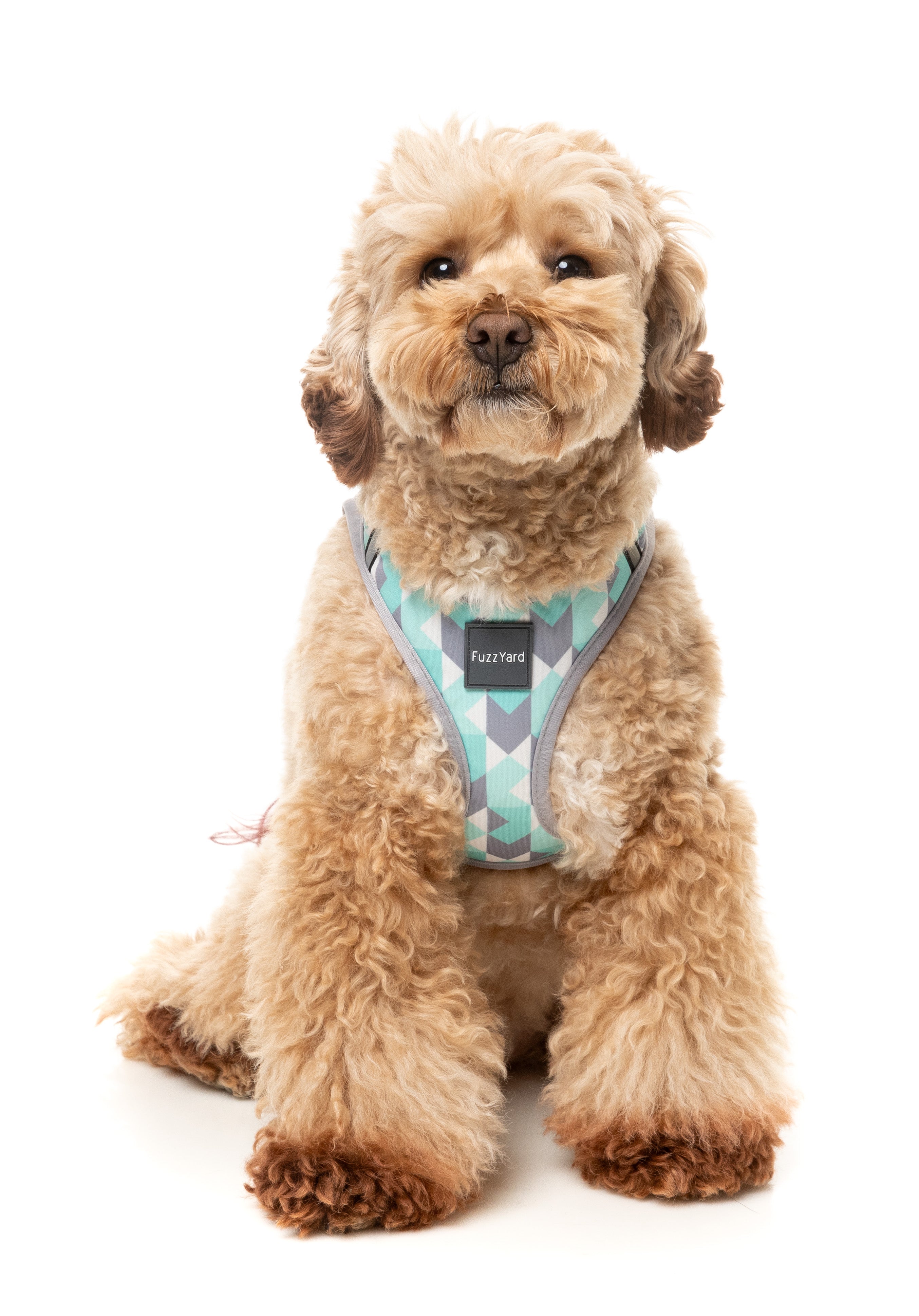 Mint Fizz - Dog Step In Harness