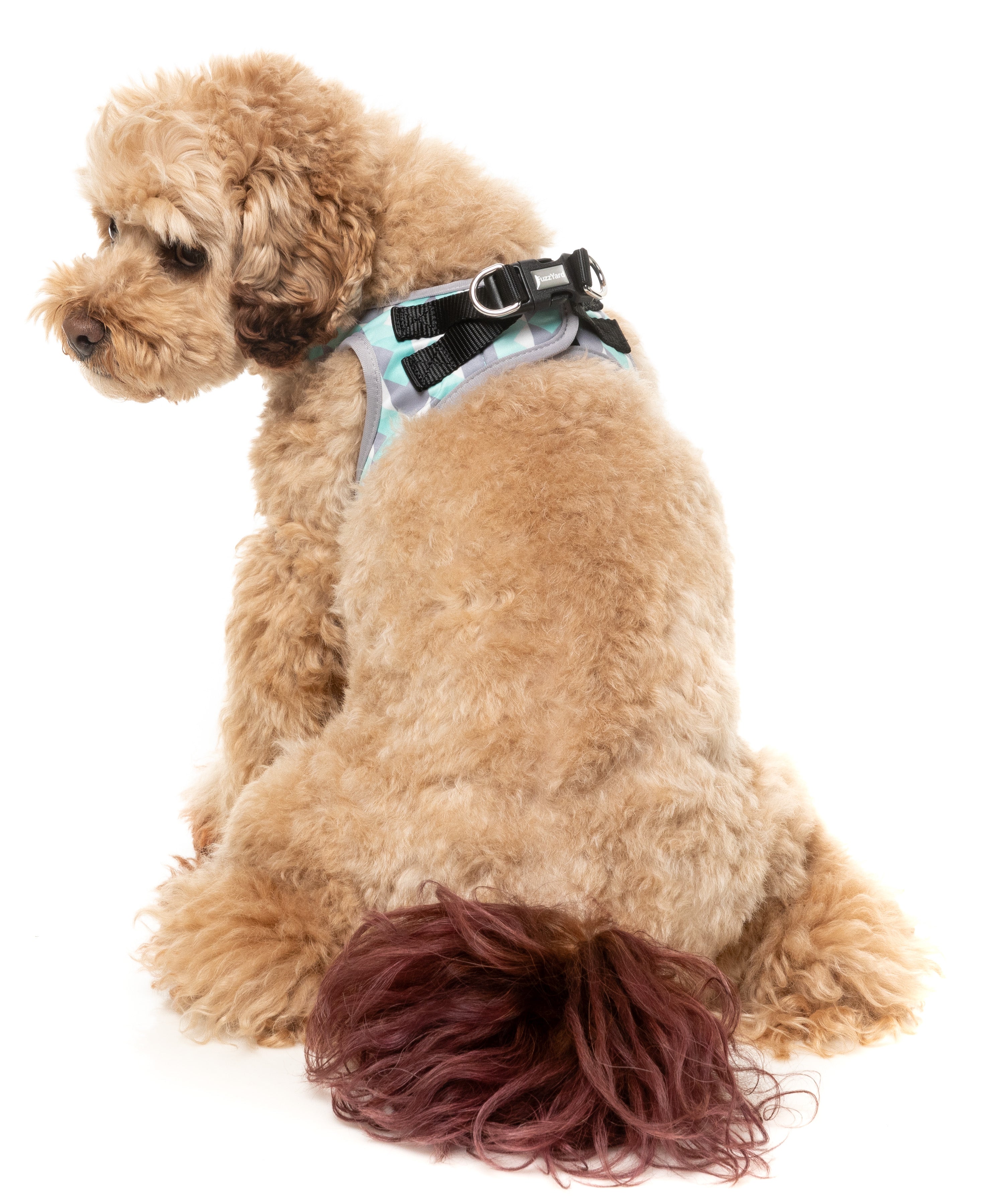Mint Fizz - Dog Step In Harness