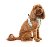 Mint Fizz - Dog Step In Harness