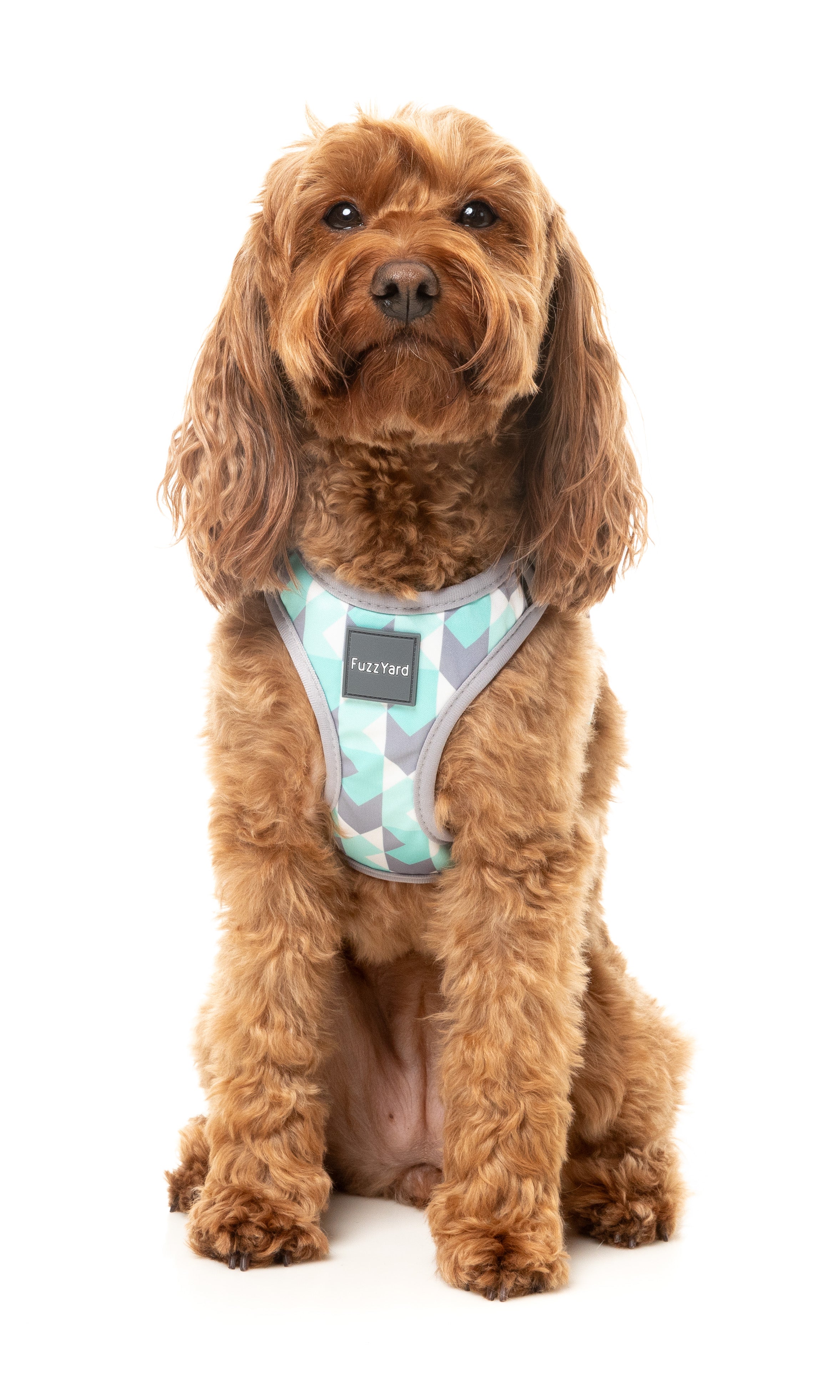 Mint Fizz - Dog Step In Harness
