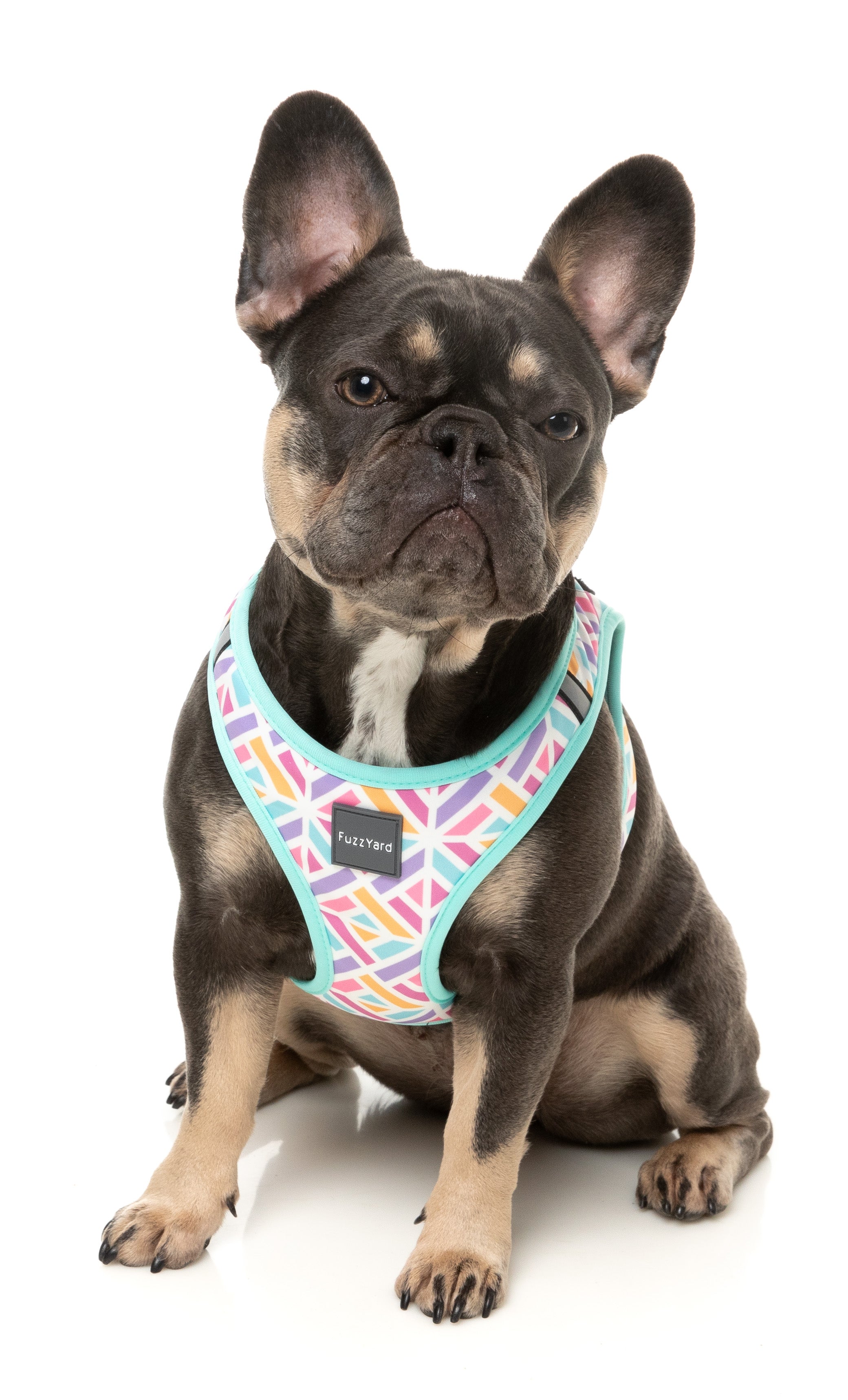Bubblegum Burst - Dog Step In Harness