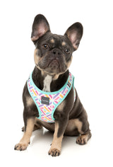Bubblegum Burst - Dog Step In Harness