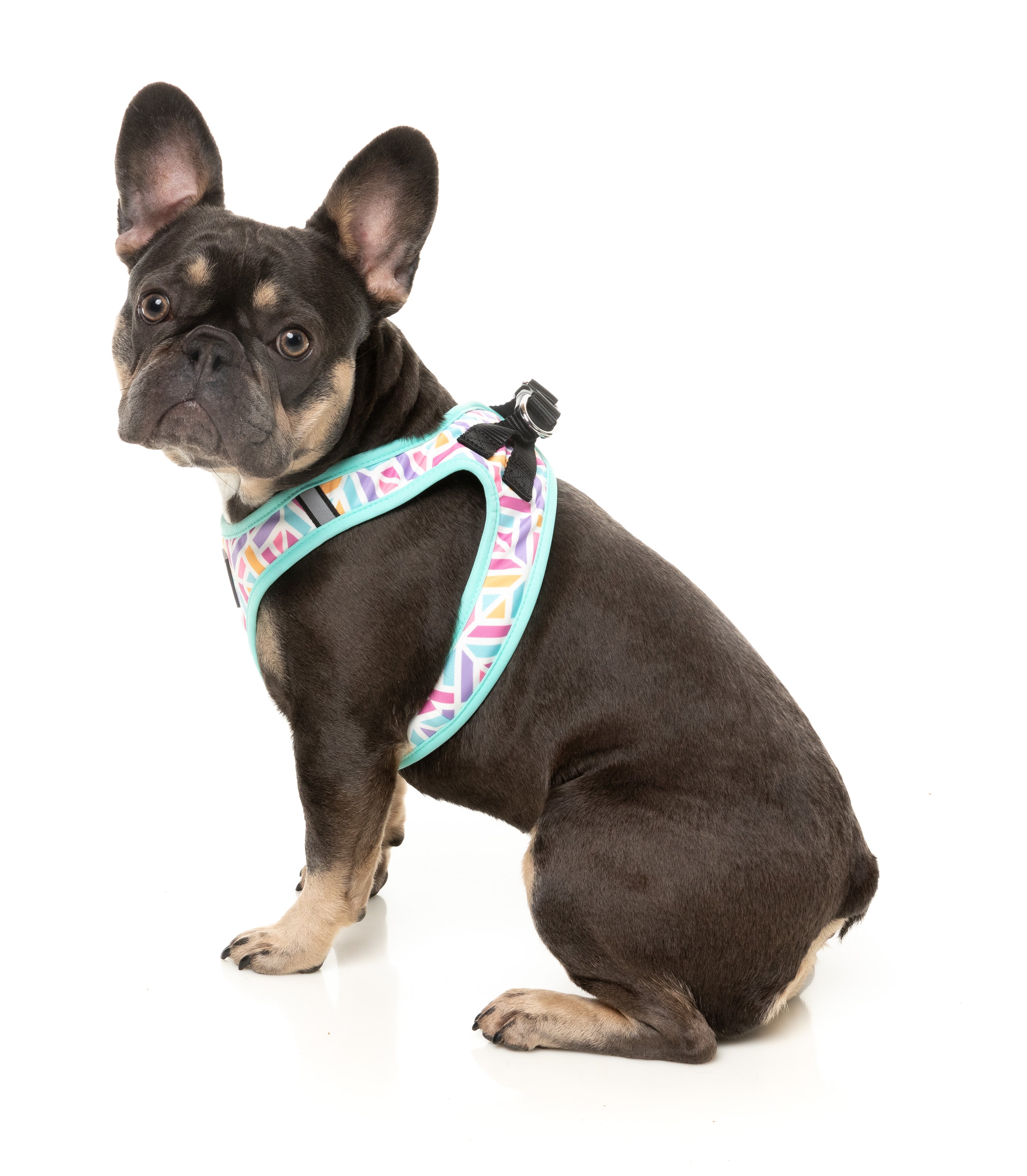 Bubblegum Burst - Dog Step In Harness