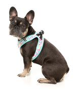 Bubblegum Burst - Dog Step In Harness