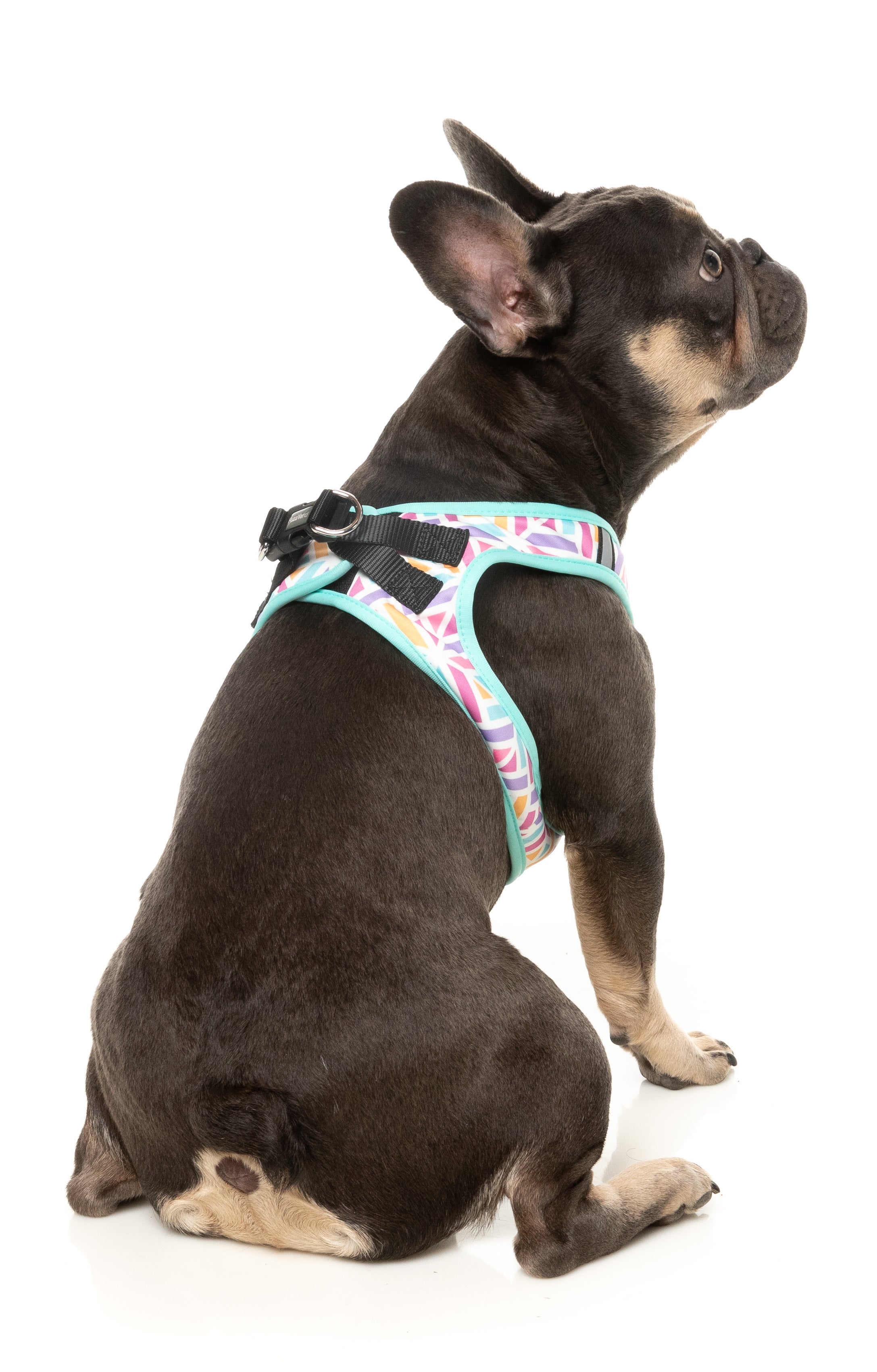 Bubblegum Burst - Dog Step In Harness