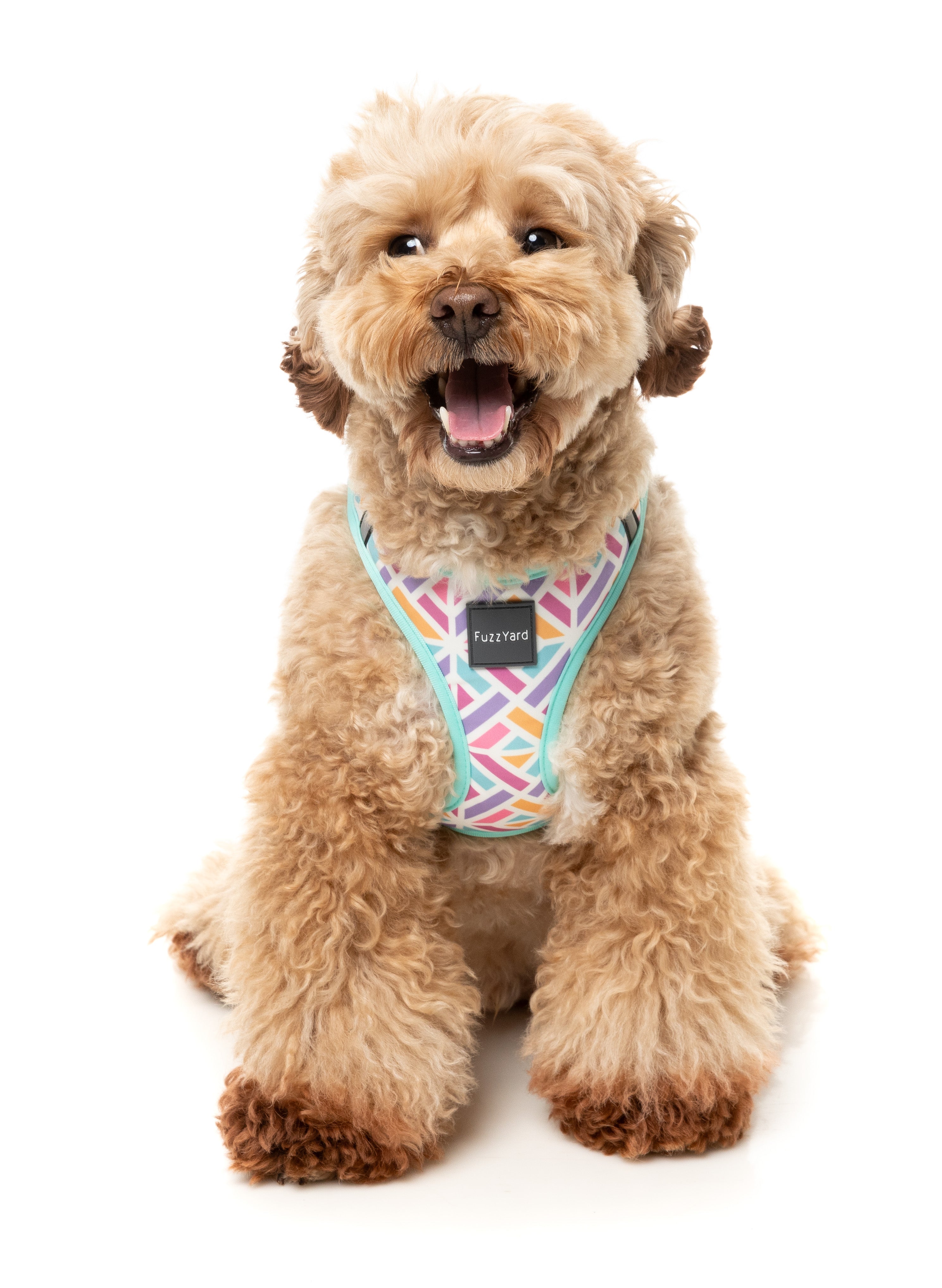 Bubblegum Burst - Dog Step In Harness