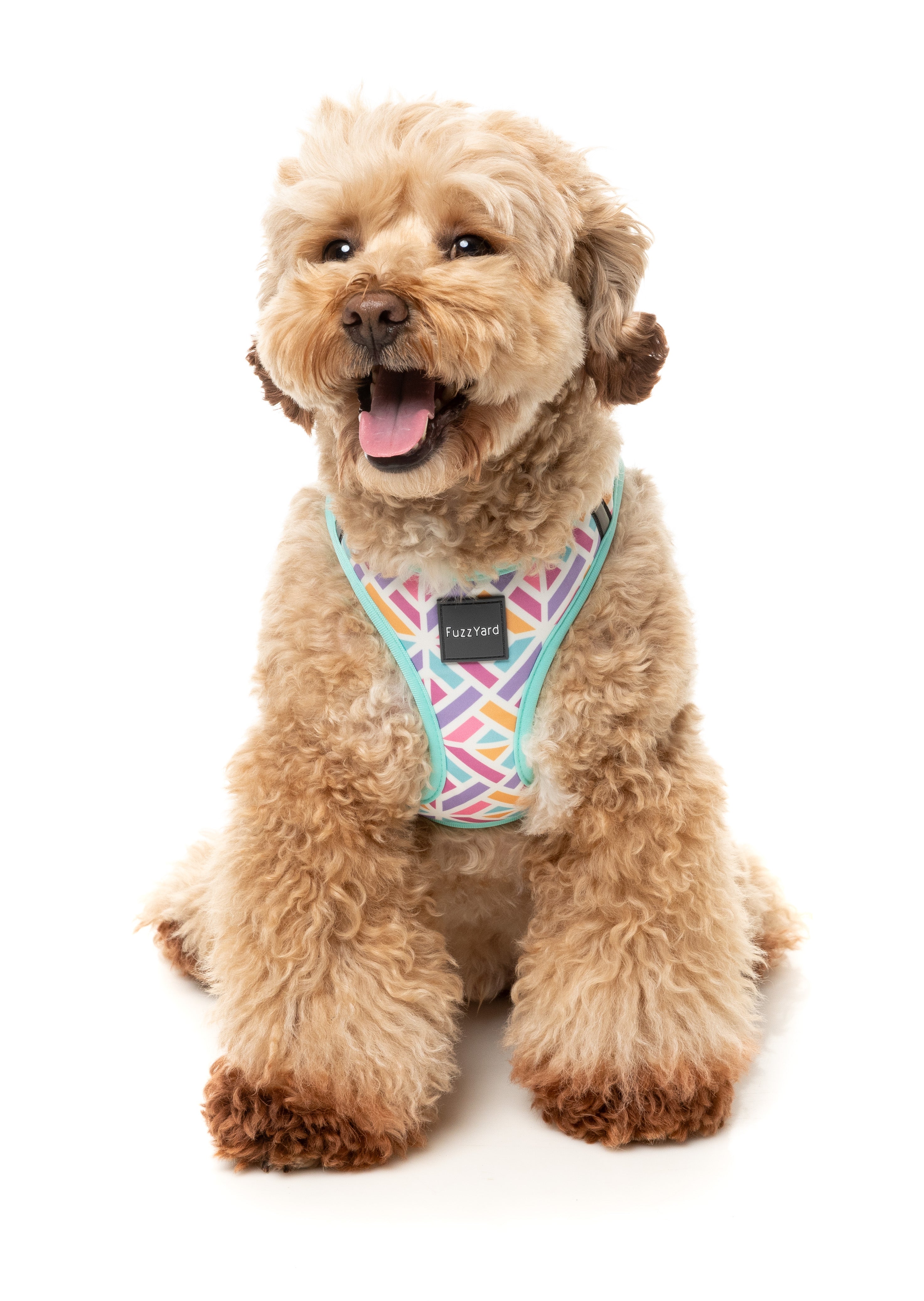 Bubblegum Burst - Dog Step In Harness