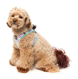 Bubblegum Burst - Dog Step In Harness