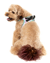 Bubblegum Burst - Dog Step In Harness