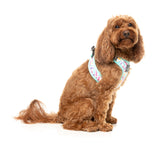 Bubblegum Burst - Dog Step In Harness