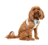 Bubblegum Burst - Dog Step In Harness