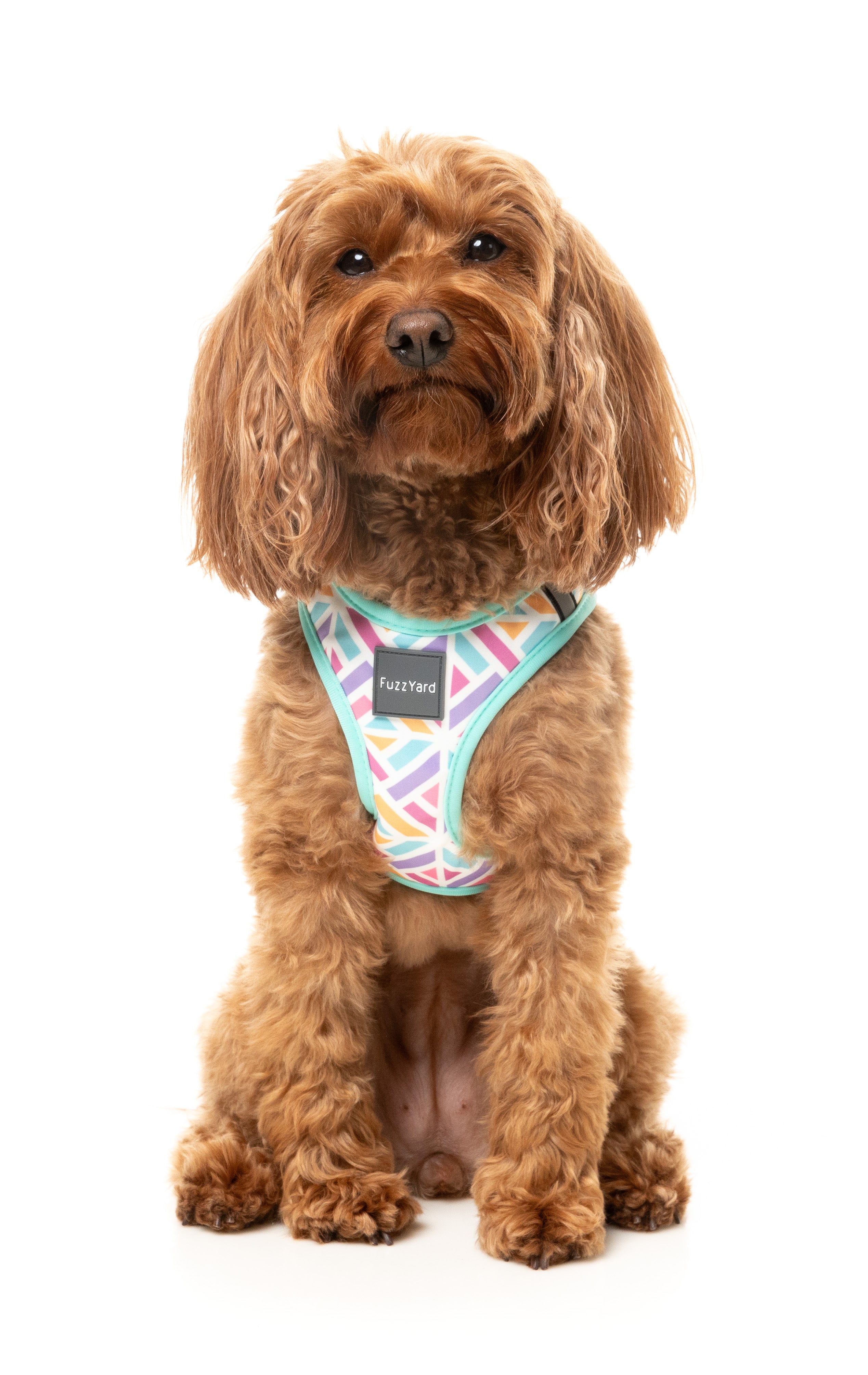 Bubblegum Burst - Dog Step In Harness