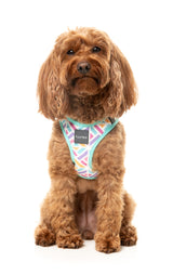 Bubblegum Burst - Dog Step In Harness